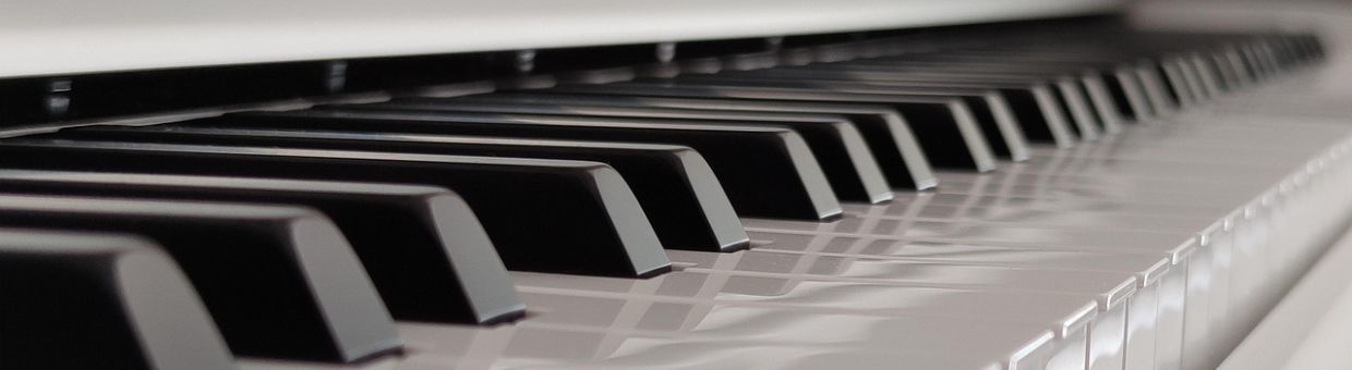 Pianos Plus Workshop Tour & Recital