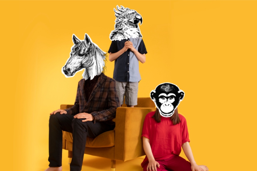 Horse Ape Bird