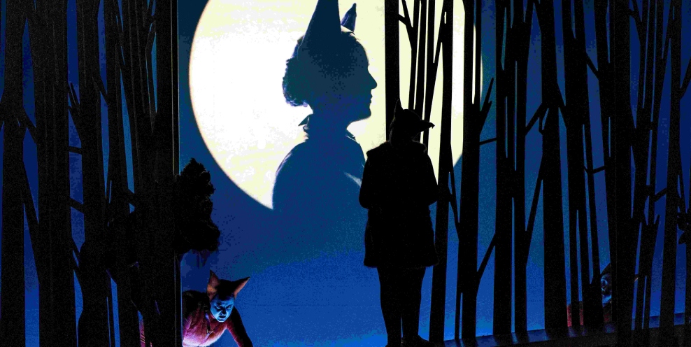 IN Os The Cunning Little Vixen Photo Ruth Medjber